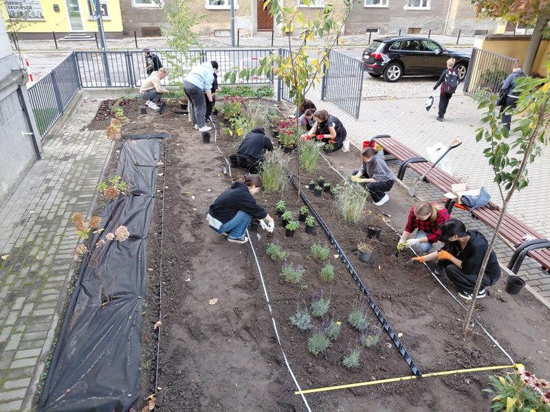 Zakładanie rabaty bylinowej przy Szkole Podstawowej