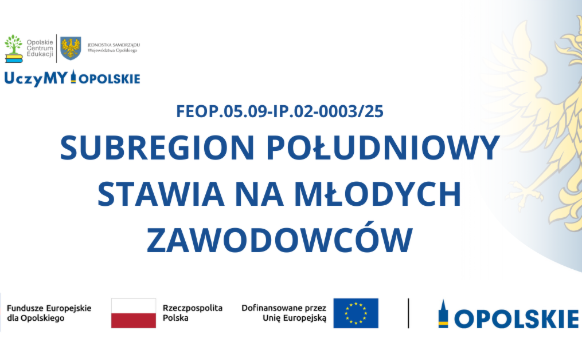 Projekt „Subregion Południowy stawia na młodych